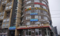 Здоровенок на Белинского